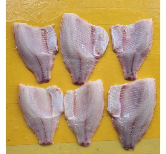 Cá diêu hồng fille đông lạnh 1kg size 100-300up và 300 up